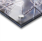 Frozen Fantasy Acrylic print