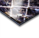 Icy Wire Fence Acrylic print