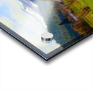 Horse Country Acrylic print