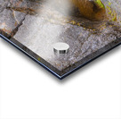 Natures Sculpture Acrylic print