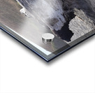 Driftwood Acrylic print