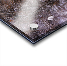 Strange Winter Venue Acrylic print