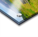 Natures Garden Acrylic print