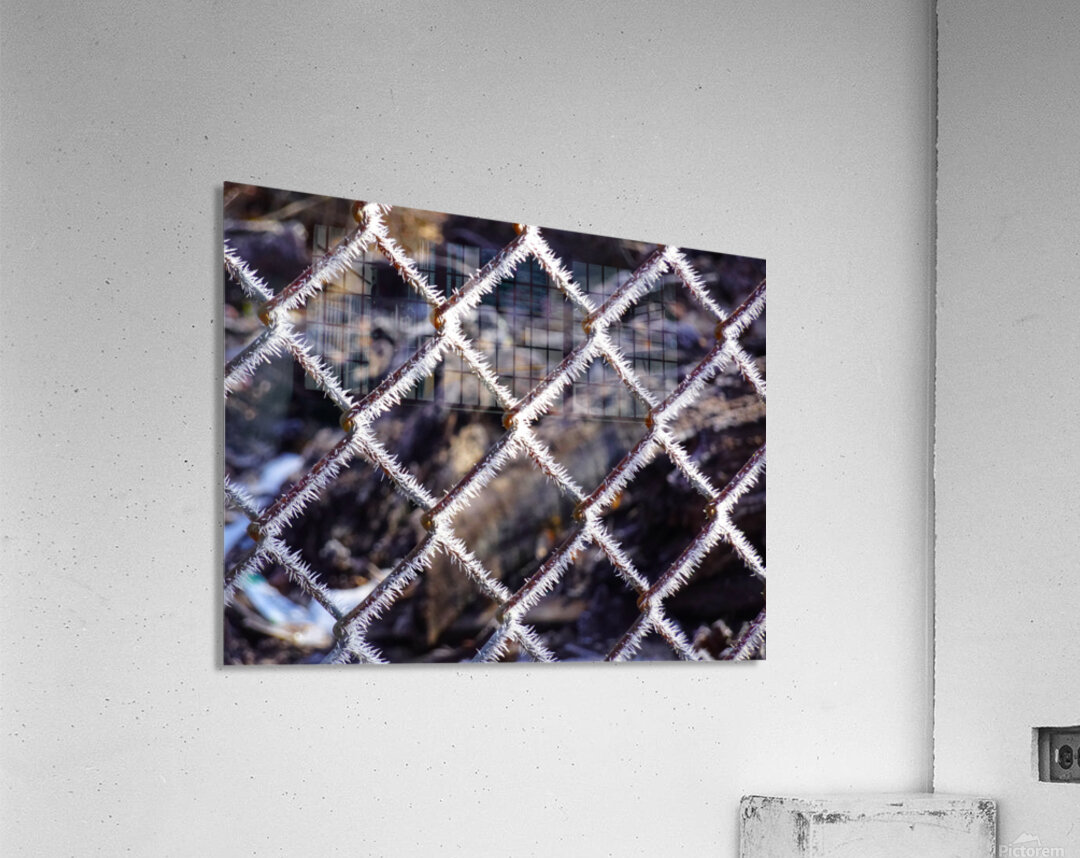Icy Wire Fence Acrylic Print