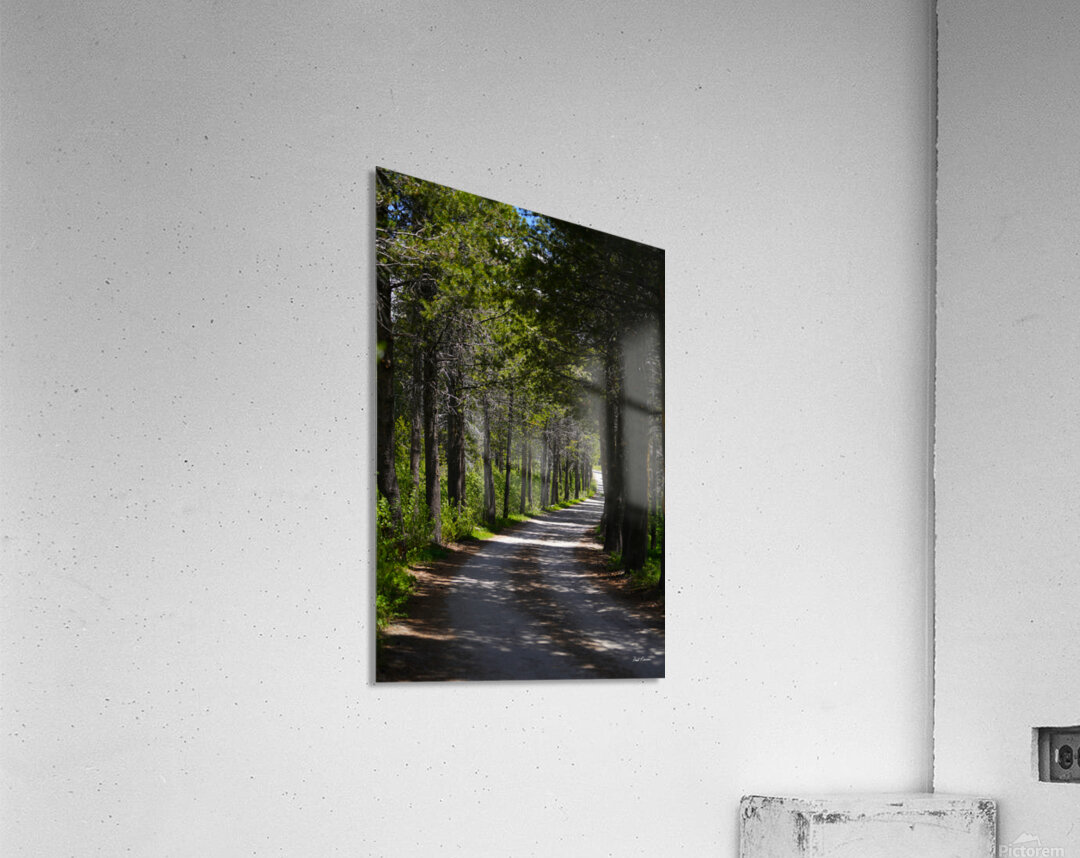 Country Road Acrylic Print