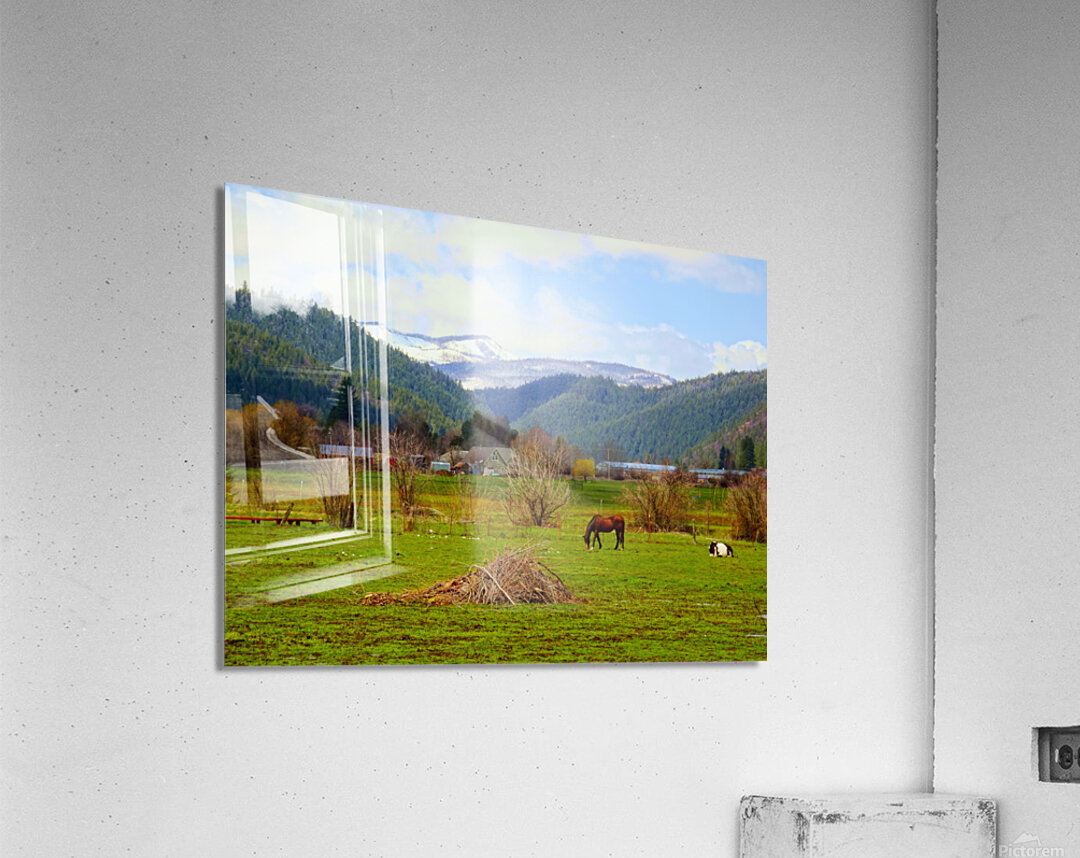 Horse Country Acrylic Print