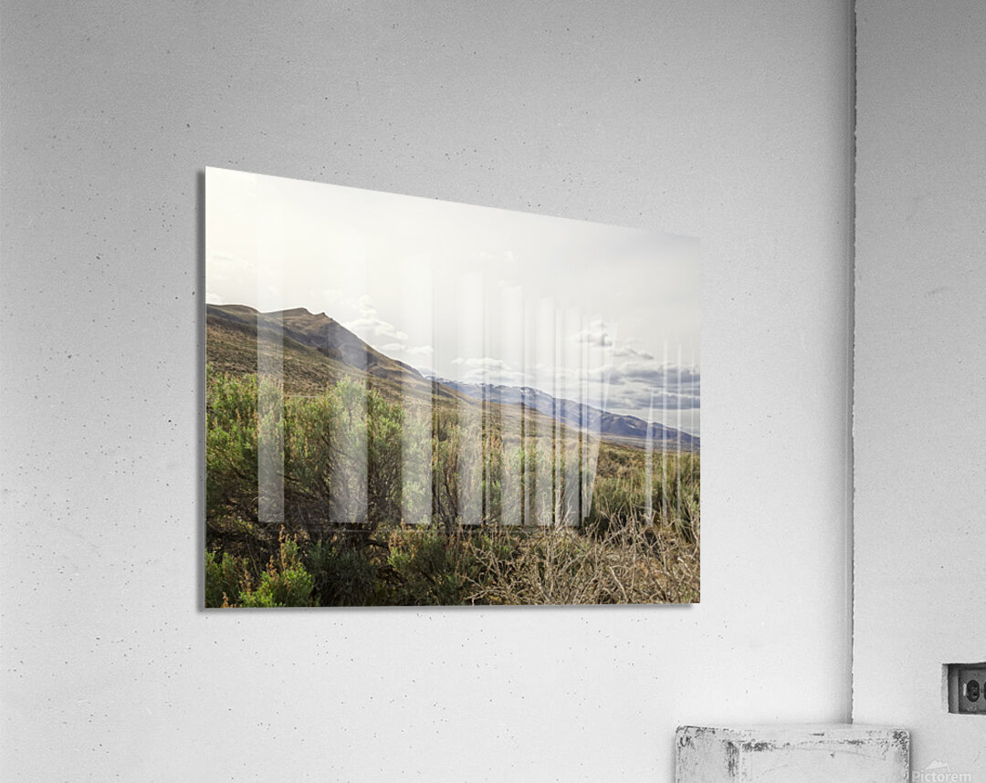 Paiute Country Acrylic Print