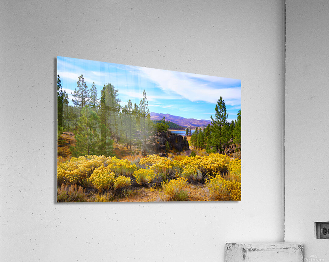 Frenchman Lake Acrylic Print