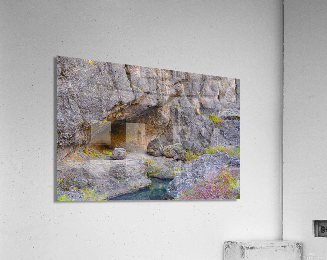 Natures Sculpture Acrylic Print