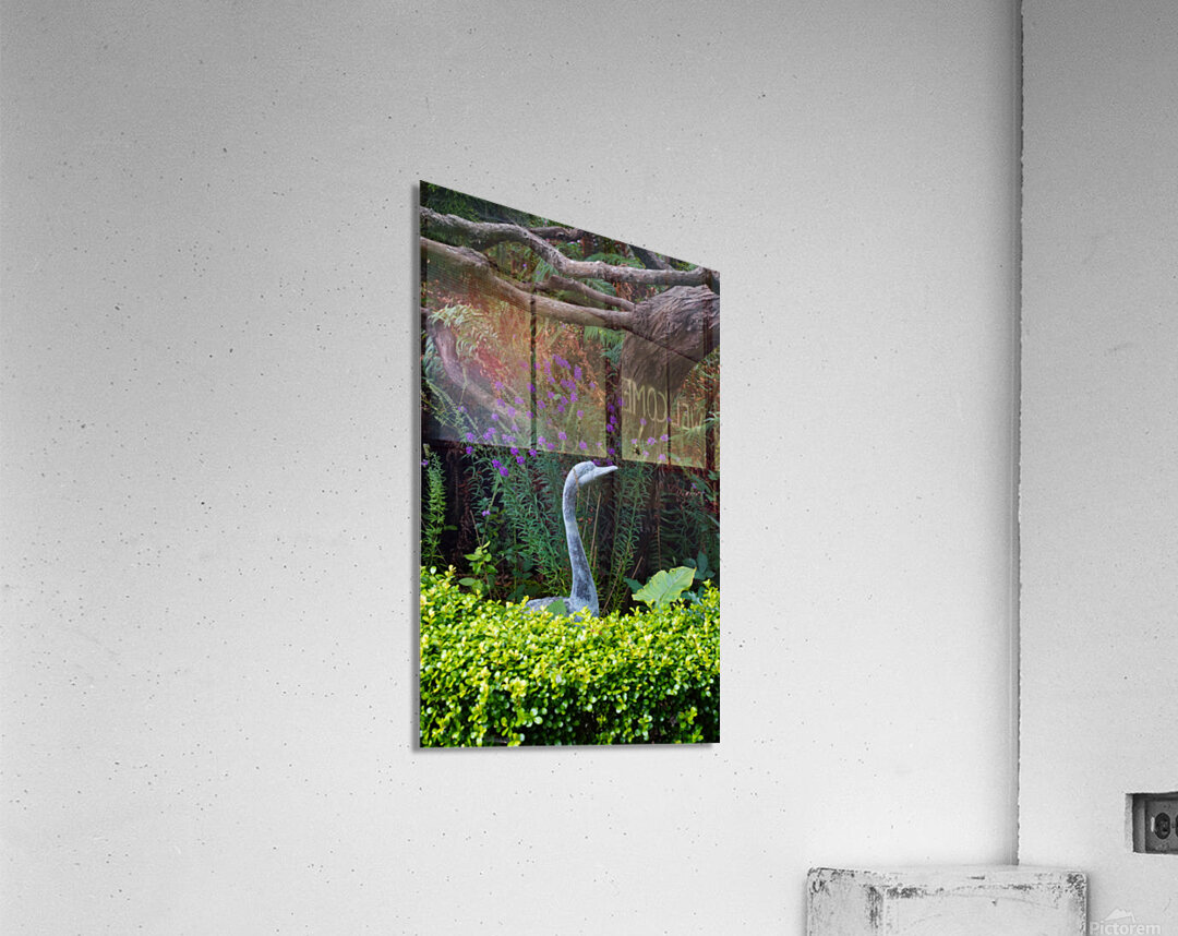 Stone Crane in Foliage Acrylic Print