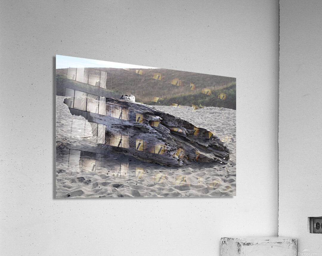 Driftwood Acrylic Print