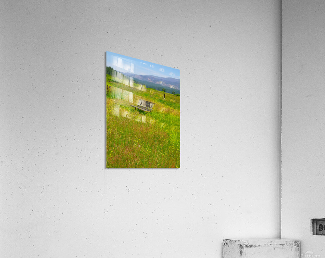 Natures Garden Acrylic Print