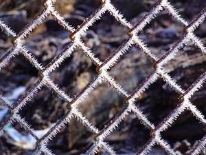 Icy Wire Fence