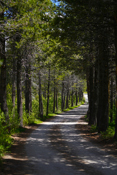 Country Road by Fred Pierson Images