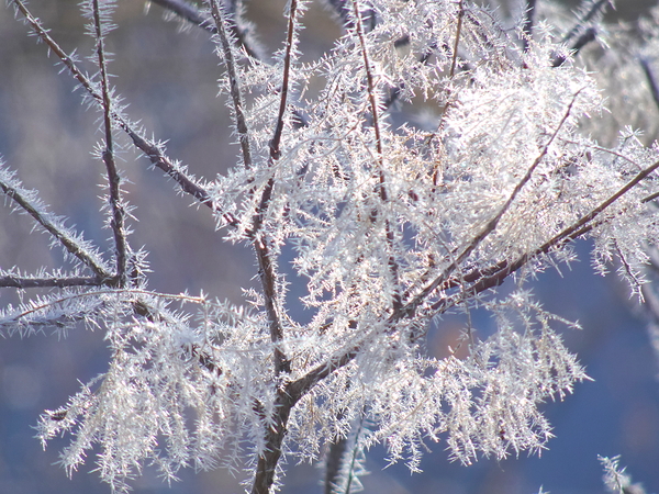 Frozen Fantasy by Fred Pierson Images