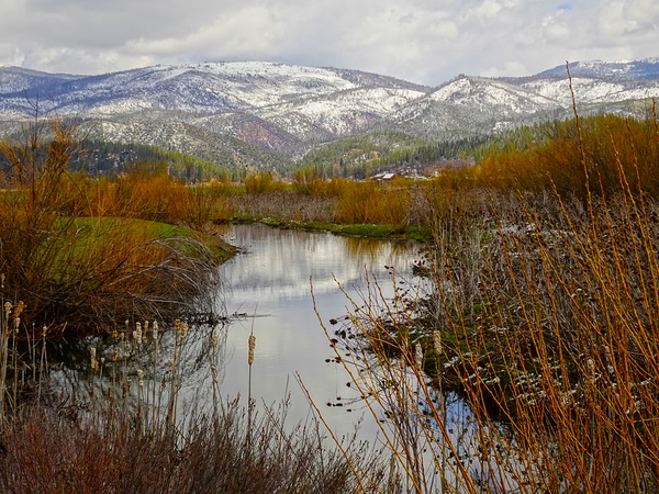 Fall into Winter by Fred Pierson Images