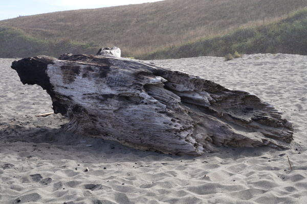 Driftwood by Fred Pierson Images