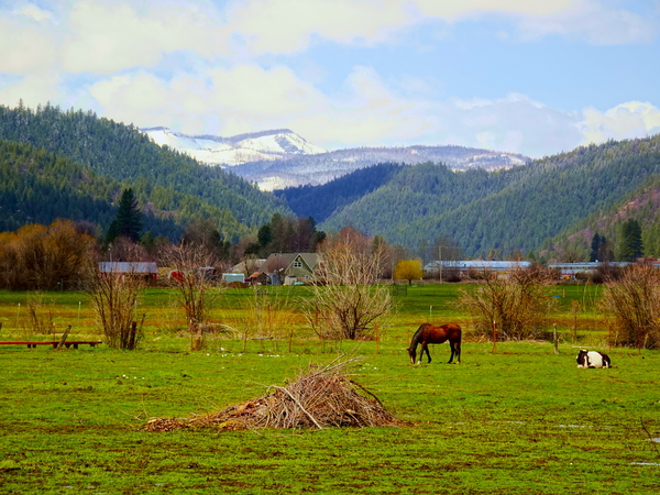 Horse Country by Fred Pierson Images