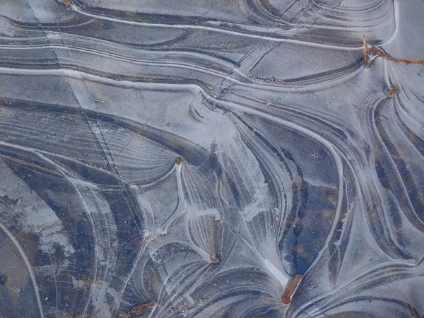 Ice Sculpture by Fred Pierson Images