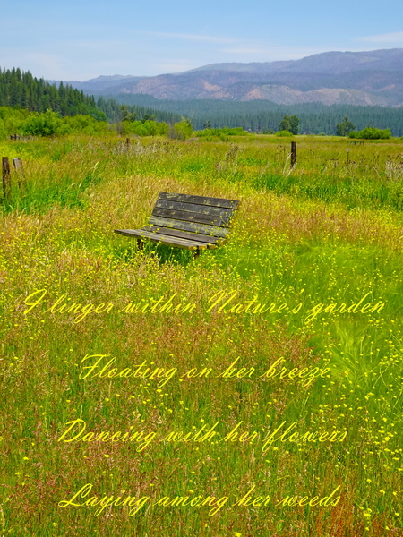 Natures Garden by Fred Pierson Images