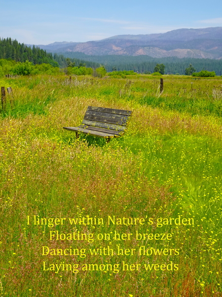 Natures Garden by Fred Pierson Images