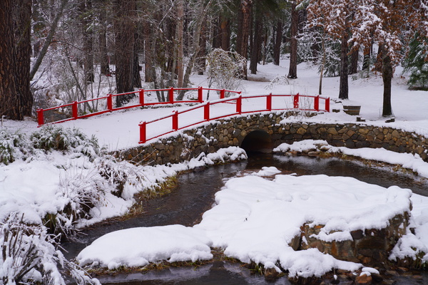 Red Bridge by Fred Pierson Images