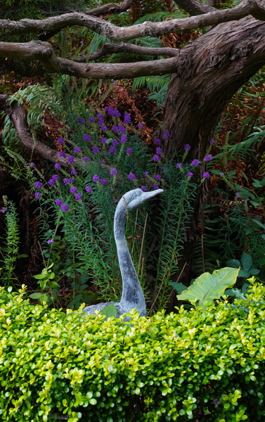 Stone Crane in Foliage by Fred Pierson Images