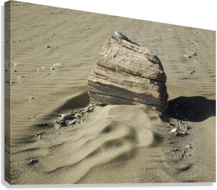 Beach Sculpture Canvas Print
