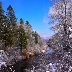 Spanish Creek in Winter