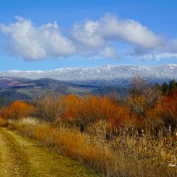 American Valley Freeway