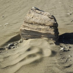 Beach Sculpture