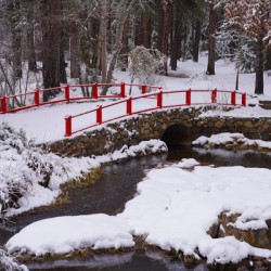 Red Bridge
