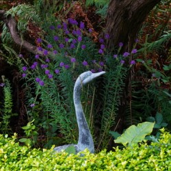 Stone Crane in Foliage