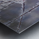 Frozen Fantasy Metal print