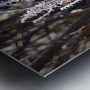 Hoar Frost Metal print