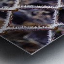 Icy Wire Fence Metal print