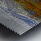 Fall into Winter Metal print