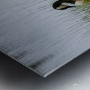 Canada Geese Metal print