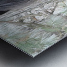 Mysterious Black Fell Pony Metal print