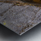 Natures Sculpture Metal print