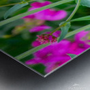 Pale Swallowtail Metal print