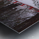 Red Bridge Metal print