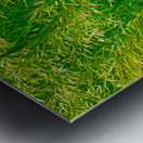 Veiled Gossamer Metal print