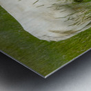 Pastoral Bliss Metal print