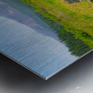 Natures Garden Metal print