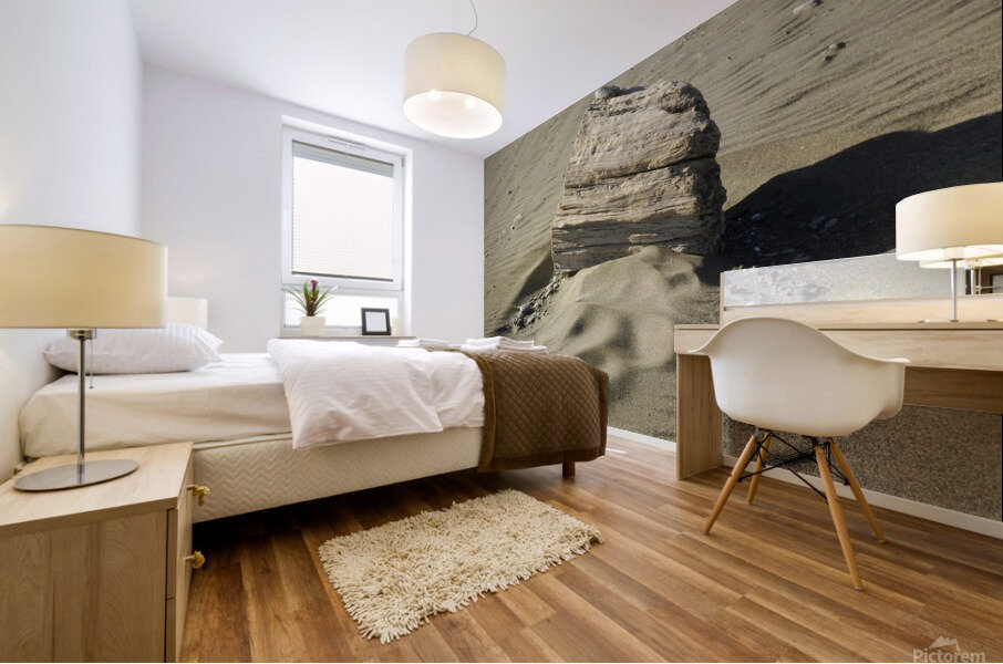 Beach Sculpture Mural print