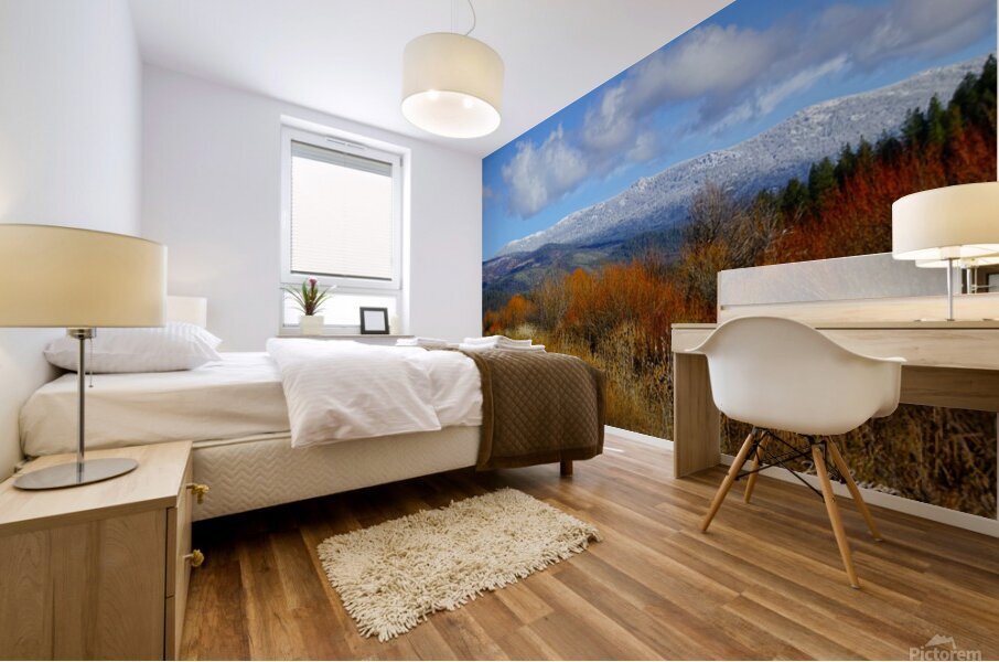 American Valley Freeway Mural print