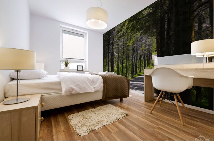 Country Road Mural print