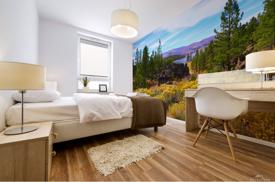 Frenchman Lake Mural print