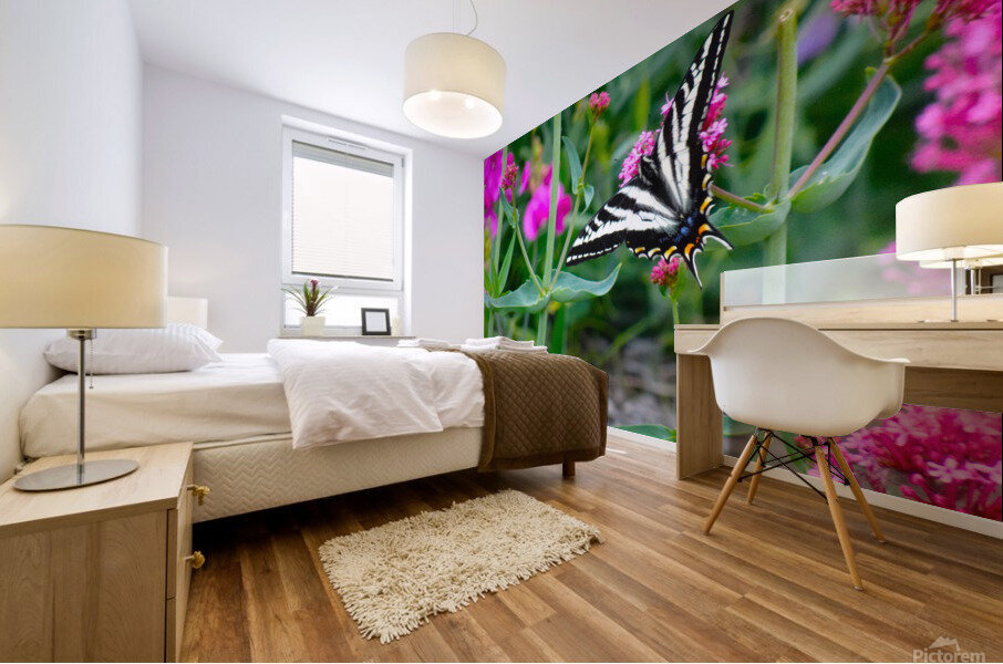 Pale Swallowtail Mural print